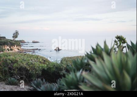 Little Corona del Mar Beach à Newport Beach, Californie Banque D'Images