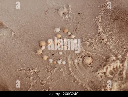 Seashell Heart sur le sable de la plage Banque D'Images