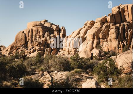 Formations rocheuses au parc national de Joshua Tree au printemps Banque D'Images