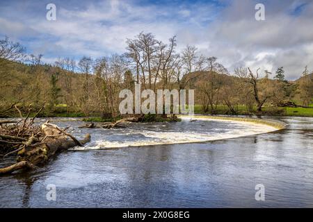 Les chutes Horseshoe sur la rivière Dee à Llangollen, Denbighshire, Nord du pays de Galles Banque D'Images