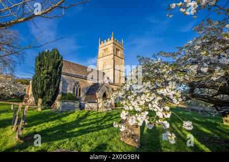 Floraison printanière dans le cimetière de l'église St Faith à Overbury dans les Cotswolds, Worcestershire, Angleterre Banque D'Images