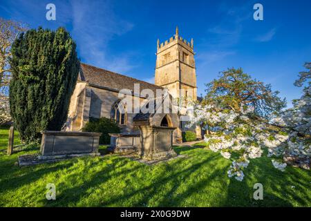 Floraison printanière dans le cimetière de l'église St Faith à Overbury dans les Cotswolds, Worcestershire, Angleterre Banque D'Images