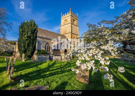 Floraison printanière dans le cimetière de l'église St Faith à Overbury dans les Cotswolds, Worcestershire, Angleterre Banque D'Images