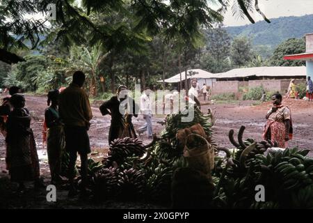 'Un marché de fruits sur la route boueuse et de terre dans le village de MTO wa Mbu (''rivière Mosquito'') au lac Manyara en Tanzanie. [traduction automatique]' Banque D'Images