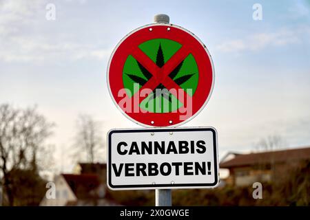 12 avril 2024 : panneau d'interdiction du cannabis, panneau avec feuille de chanvre barrée et lettrage : cannabis verboten PHOTOMONTAGE *** cannabis Verbotsschild, Schild mit durchgestrichenem Hanfblatt und dem Schriftzug : cannabis verboten FOTOMONTAGE Banque D'Images