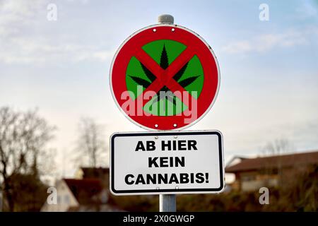 12 avril 2024 : panneau d'interdiction du cannabis, panneau avec feuille de chanvre barrée et les mots : No cannabis from here PHOTOMONTAGE *** cannabis Verbotsschild, Schild mit durchgestrichenem Hanfblatt und dem Schriftzug : ab hier kein cannabis FOTOMONTAGE Banque D'Images