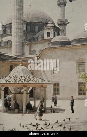 Les colombes sont assis sur le toit d'un puits de purification (Sadirvan) dans la cour de la Mosquée du Sultan Eyüp à Istanbul. [traduction automatique] Banque D'Images