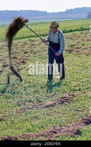 faneuse de foin classique sur une prairie près de Mittenwald en Bavière [traduction automatique] Banque D'Images