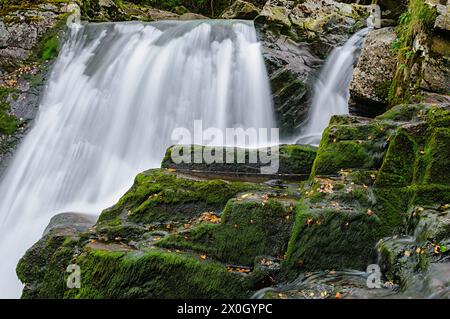 L'eau tombe sur des rochers couverts de mousse dans un cadre forestier serein. Banque D'Images