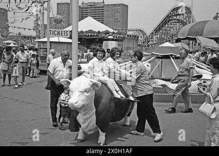 Un père et ses deux enfants accroupi sur une vache sculpture, sur un trottoir de Coney Island avec un roller coaster échafaudages dans l'arrière-plan. Banque D'Images