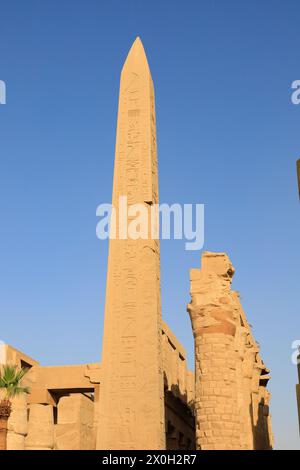 Obélisque de Hatshepsout, Temple de Karnak du Pharaon Senusret 1, Louxor, Égypte Banque D'Images