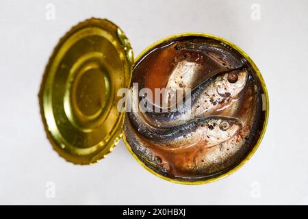 Ansjovis, anchois suédois (sprats) dans une boîte ouverte Banque D'Images