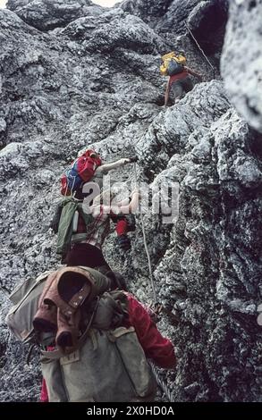 Les randonneurs avec des sacs à dos sur le dos tiennent sur des cordes métalliques pour grimper au sommet [traduction automatisée] Banque D'Images