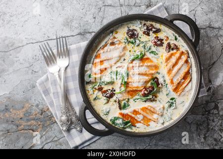 Plat de saumon toscan de filet de saumon grillé avec sauce à la crème, ail, tomates séchées au soleil et épinards gros plan dans la poêle sur la table. Haut horizontal v Banque D'Images