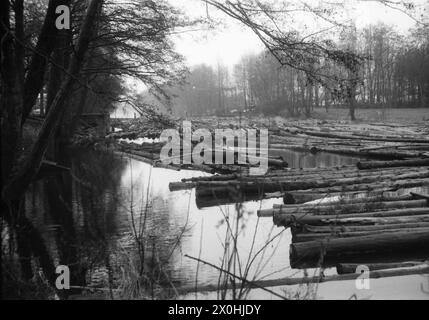 La photo a probablement été prise au début de 1975 sur l'une des petites baies de la Havel à Spandau, en forme de canal, qui ne font que quelques 100 mètres de long. Le Havel peut probablement être vu en arrière-plan. Une route coupe la zone d'eau dans laquelle se trouvent les troncs d'arbres de la Havel. [traduction automatique] Banque D'Images