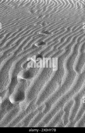 Formations de sable à marée basse sur la Grande Côte avant la barre de Monts. [traduction automatique] Banque D'Images