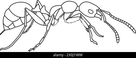 Symbole vectoriel de signe d'icône de fourmi.illustration vectorielle Illustration de Vecteur