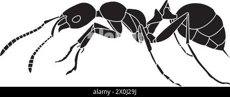 Symbole vectoriel de signe d'icône de fourmi.illustration vectorielle Illustration de Vecteur