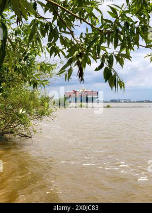 Elbe Beach, Wittenbergen, porte-conteneurs, Hambourg, quartier, Rissen, Allemagne du Nord, Allemagne Banque D'Images