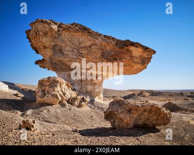 Sur la route dans la région désertique d'Al Huqf en Oman, Banque D'Images