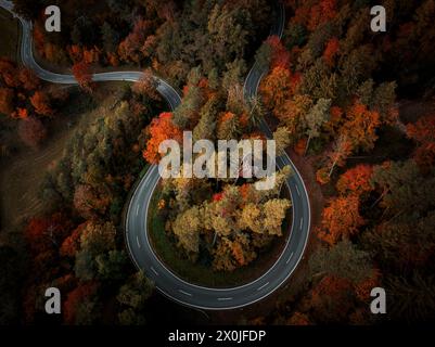 Route sinueuse dans le Bade-Württemberg en automne avec feuillage coloré, courbe, Allemagne, Europe Banque D'Images