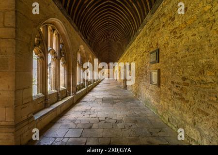 Le cloître du New College, Université d'Oxford, Oxfordshire, Angleterre, Grande-Bretagne, Europe Banque D'Images