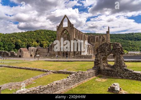 Les ruines de l'abbaye de Tintern dans la vallée de Wye, Tintern, Monmouth, pays de Galles, Grande-Bretagne, Europe Banque D'Images