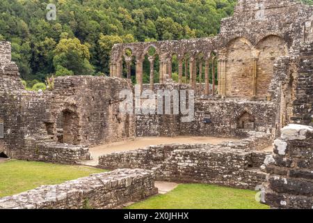 Les ruines de l'abbaye de Tintern dans la vallée de Wye, Tintern, Monmouth, pays de Galles, Grande-Bretagne, Europe Banque D'Images