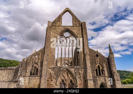 Les ruines de l'abbaye de Tintern dans la vallée de Wye, Tintern, Monmouth, pays de Galles, Grande-Bretagne, Europe Banque D'Images