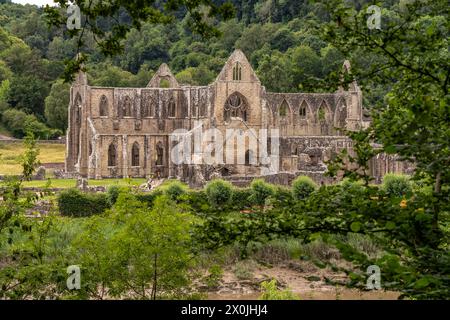 Les ruines de l'abbaye de Tintern dans la vallée de Wye, Tintern, Monmouth, pays de Galles, Grande-Bretagne, Europe Banque D'Images