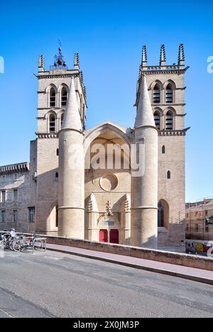 Cathédrale Saint-Pierre, Cathédrale, centre historique, façades, visite de la ville, vue maison, vieille ville, Montpellier, Hérault, France, Banque D'Images