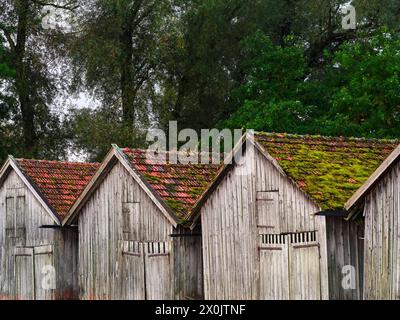 Aube à Dießen am Ammersee Banque D'Images