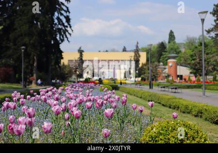 Printemps dans le parc, Vrnjacka Banja - Serbie Banque D'Images