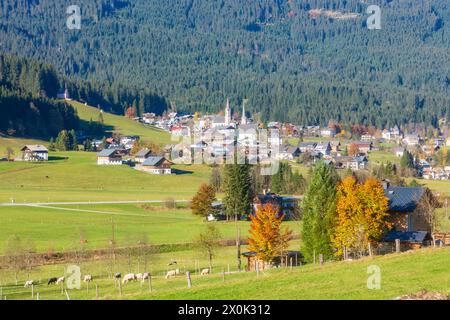 Gosau, village Gosau, église paroissiale catholique et évangélique, fermes, couleurs d'automne, vaches à Salzkammergut, Oberösterreich, haute Autriche, Autriche Banque D'Images