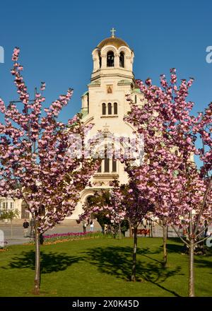 Prog Cathédrale orthodoxe Alexander Nevsky vue à travers les cerisiers en fleurs de sakura à Sofia Bulgarie. Europe de l'est, Balkans, UE Banque D'Images