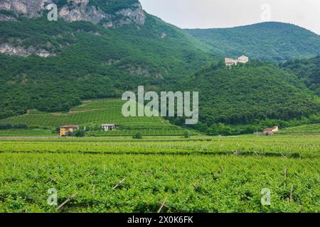 San Michele all'Adige (préparé Michael an der Etsch), Castello di Monreale (Château de Königsberg), Adige (Etsch) Valley in Trentino, Trentino-South Tyrol, Italie Banque D'Images