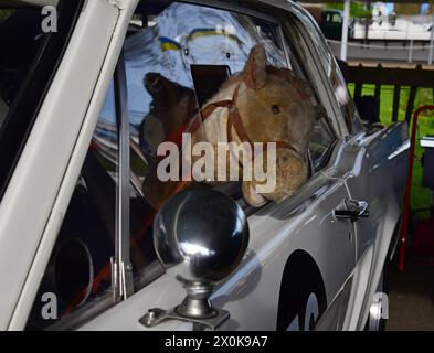 A Mustang in a Mustang, Ford Mustang, Goodwood 81e réunion des membres, Goodwood, avril 2024. Banque D'Images