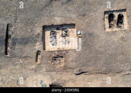 Os de bovins âgés de 5000 ans et squelette humain, site de fouilles archéologiques, Magdebourg, Saxe-Anhalt, Allemagne Banque D'Images