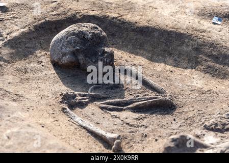 Squelette humain vieux de 5000 ans, site de fouilles archéologiques, Magdebourg, Saxe-Anhalt, Allemagne Banque D'Images