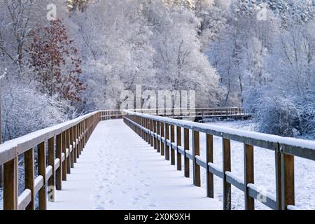 Matin d'hiver dans le Parc naturel de la Forêt du Palatinat, passerelle en bois enneigée dans la réserve naturelle de Königsbruch à Fischbach près de Dahn, réserve de biosphère de la Forêt du Palatinat-Vosges du Nord, Allemagne, Rhénanie-Palatinat Banque D'Images