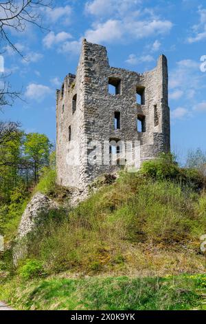 Bösingen - Herrenzimmern, Herrenzimmern château ruines, un château des barons plus tard comtes de Zimmern. Banque D'Images