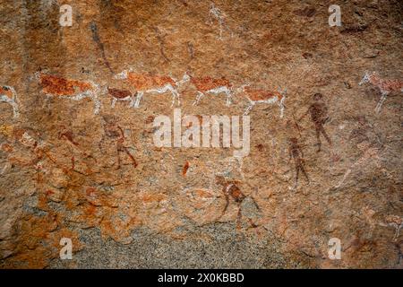 Peintures rupestres blanches sur le massif du Brandberg à Damaraland, Namibie Banque D'Images