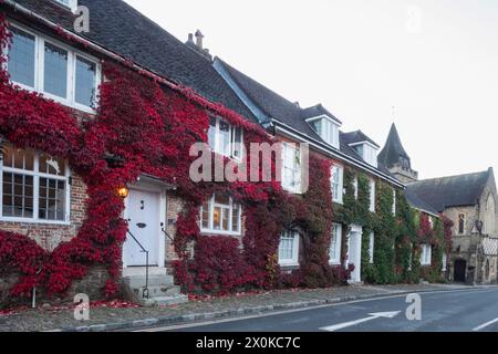 Angleterre, West Sussex, Midhurst, feuilles d'automne Banque D'Images