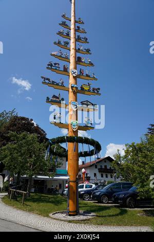 Allemagne, Bavière, haute-Bavière, Chiemgau, Seebruck, Maypole Banque D'Images