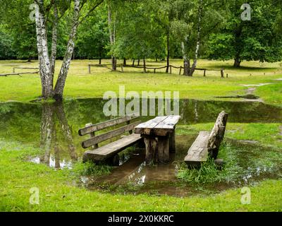 Banc et table dans le parc, réserve naturelle Boberger Dünen à Hambourg. Banque D'Images