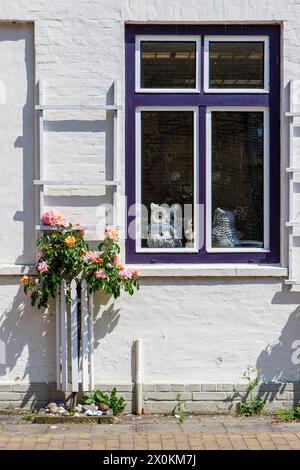 Maison traditionnelle du nord de l'Allemagne à Friedrichstadt, Schleswig-Holstein, Allemagne. Banque D'Images