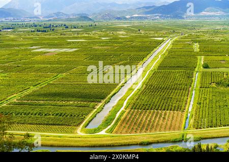 Une vue d'oiseau d'une rivière sinueuse qui coule à travers un champ verdoyant avec une variété de vie végétale, dans un fond de verdure luxuriante Banque D'Images