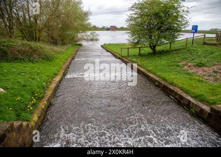 L'eau du canal Llangollen se déversant dans le réservoir Hurleston près de Nantwich Cheshire pour fournir de l'eau potable à la région de Crewe et Nantwich Banque D'Images