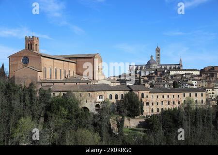 Italie, Toscane, Sienne, Basilique Caterinia di San Domenico Banque D'Images