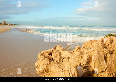 Deux surfeurs entrant dans l'eau dans des conditions agitées juste après le lever du soleil avec du calcaire au premier plan, Trigg Beach, Perth, Australie occidentale. Banque D'Images